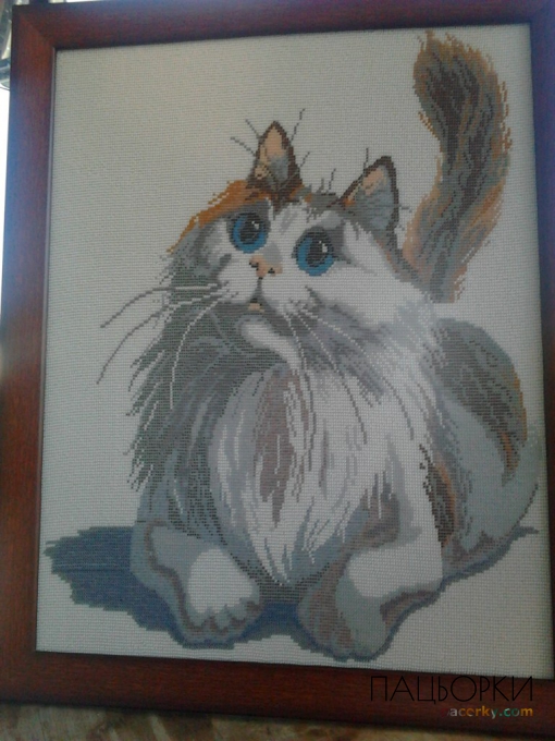 Картина Котик