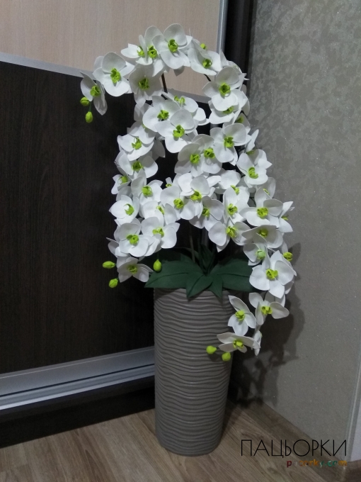 Орхідея велика
