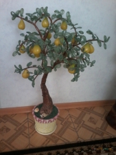 груша