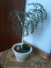 Береза