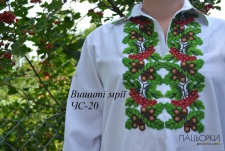 ЧС-20