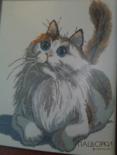 Картина Котик
