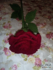 Роза