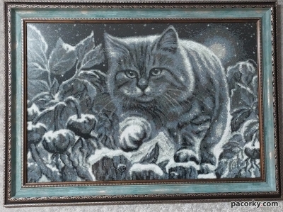 Лунный кот