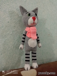 Котик