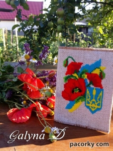 Вишиті обкладинки для паспорта
