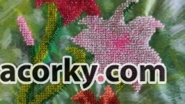 Лілії