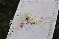 Тобі, сама ніжність