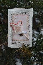 Квітка ніжності.