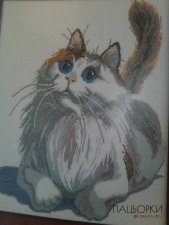 Картина Котик