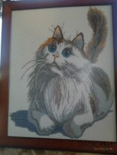 Картина Котик