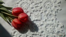 Серветка