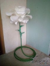 квіти для фотозон