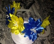 Патріотичний обруч