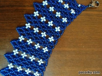 Яскрава двоколірна силянка