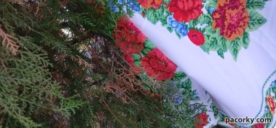 Буковинська вишивпнка