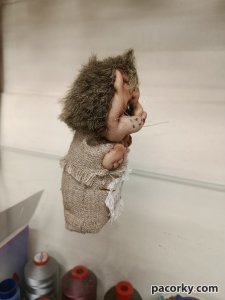 Котик в мішку 