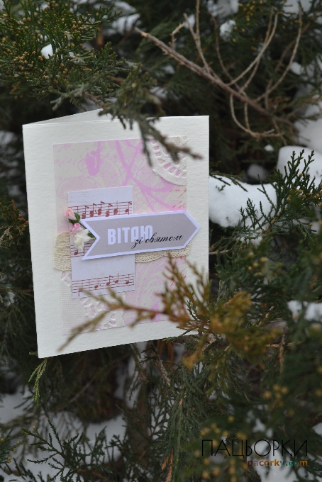 Ніжне вітання