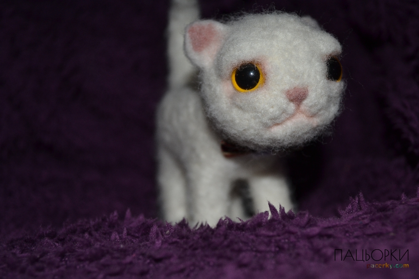 Котик из войлока
