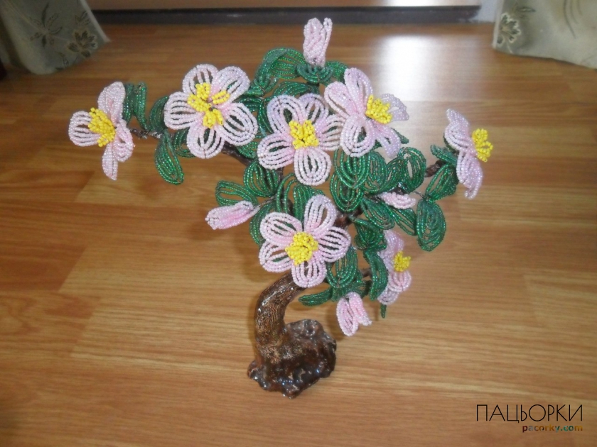 квітучий бонсай