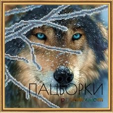  Взгляд