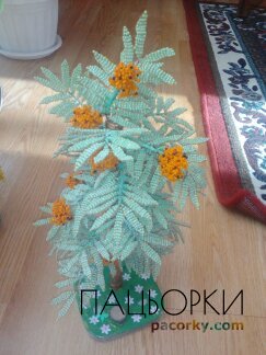 Рябіна