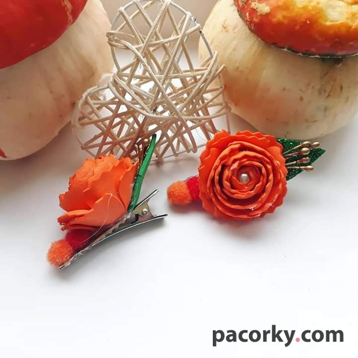 Заколки