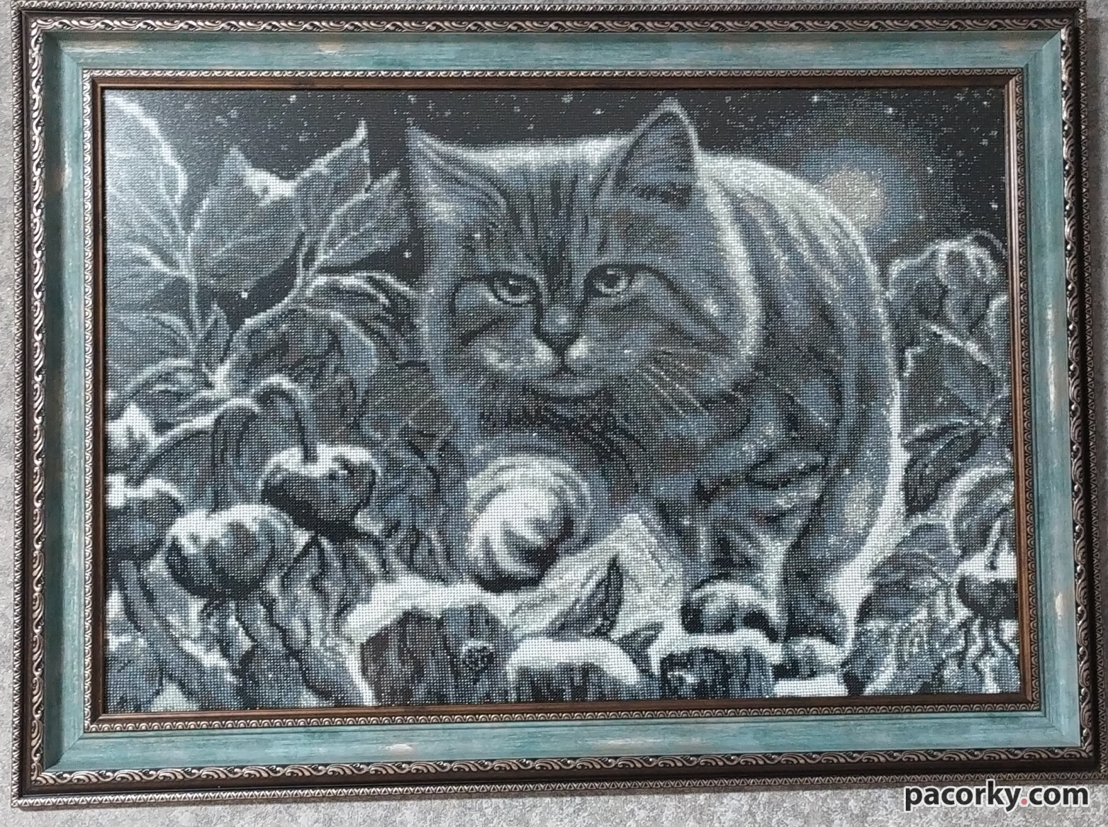 Лунный кот