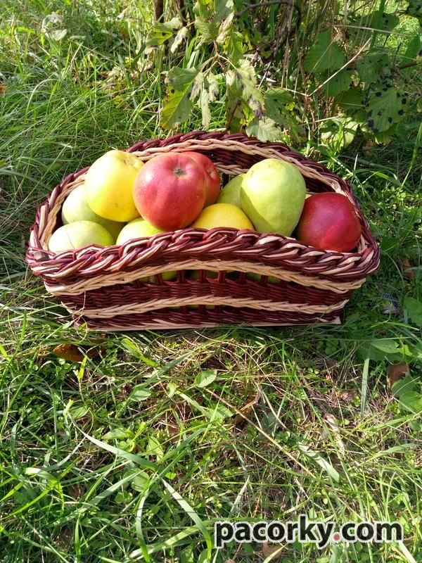 Кошик з паперової лози