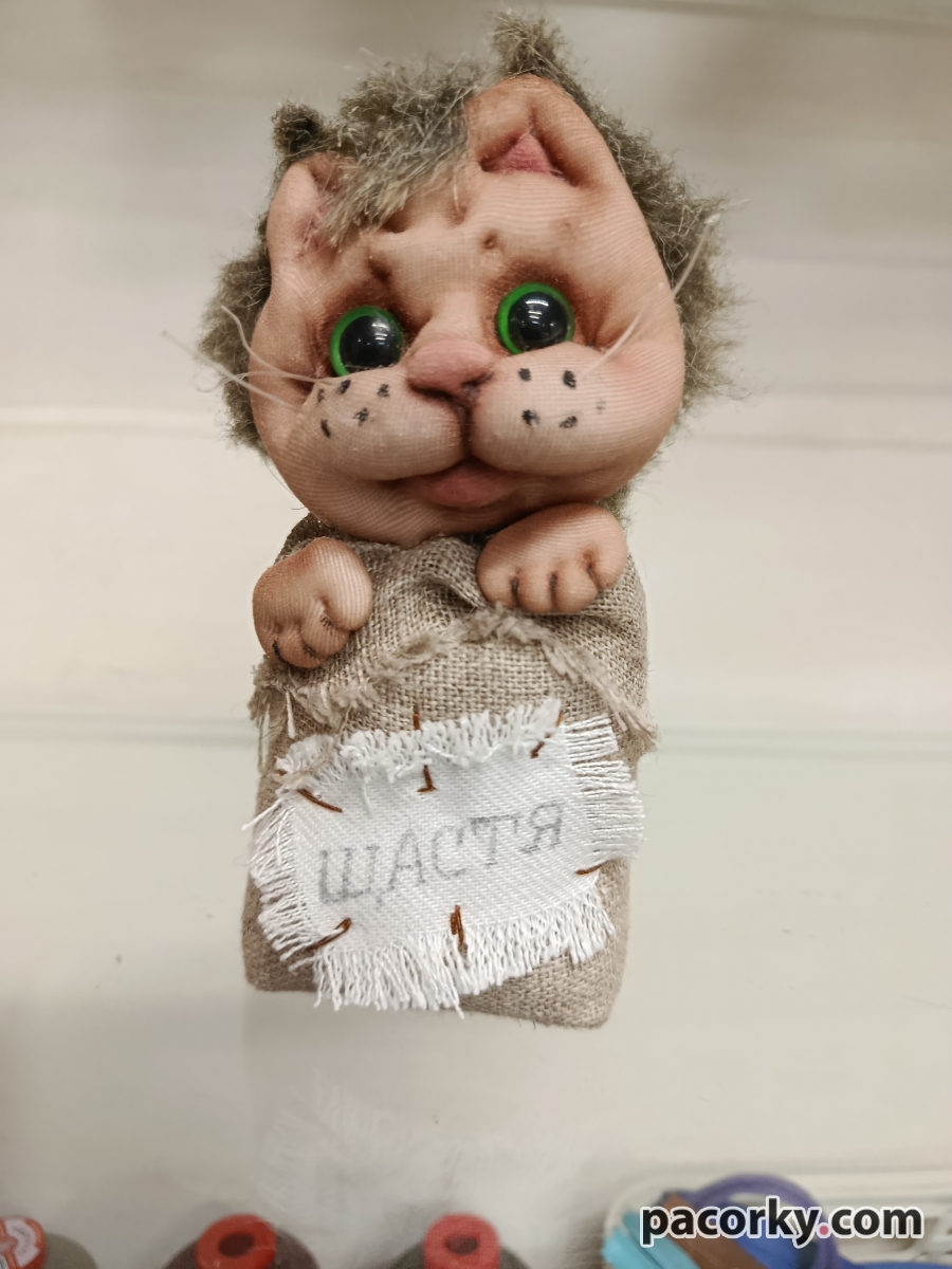 Котик в мішку 